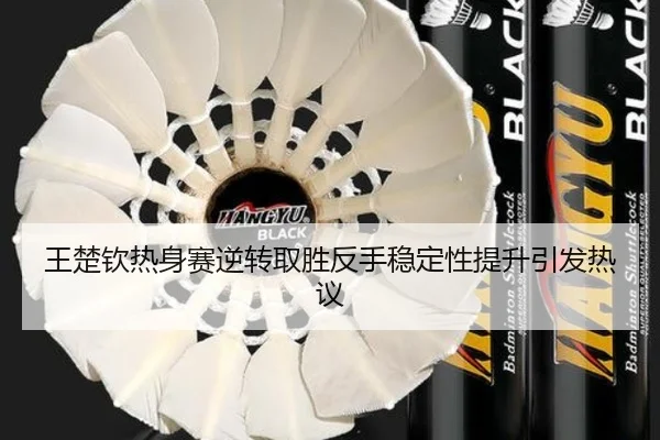 王楚钦热身赛逆转取胜反手稳定性提升引发热议